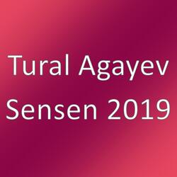 Sensen 2019