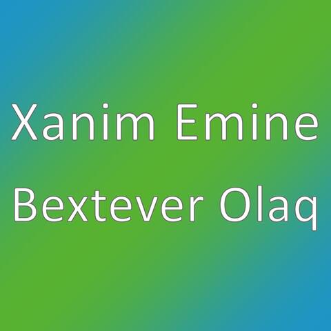 Bextever Olaq