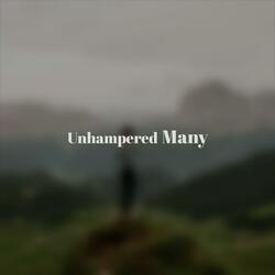 Unrestricted Idem