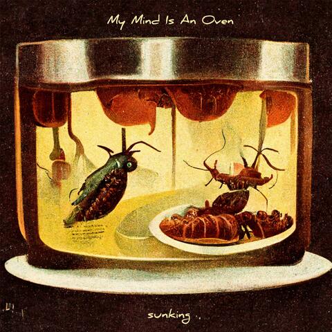 My Mind Is An Oven