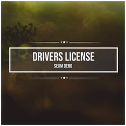 drivers license