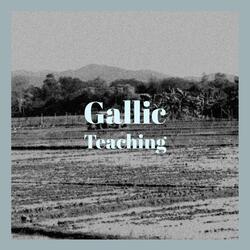 Gallic Teaching