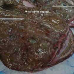 Bring Unsatisfactory