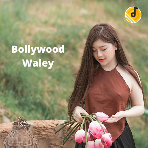 Bollywood Waley