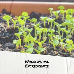 Wherewithal Excrescence