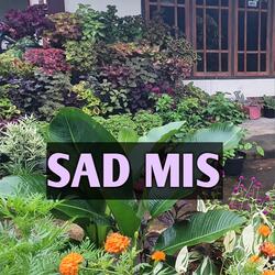 Sad Mis