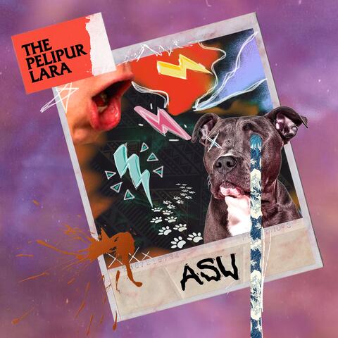 Asu