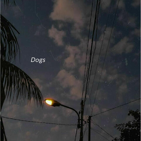 Dogs