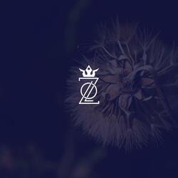 We Are Lo Z