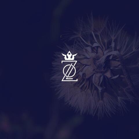 We Are Lo Z