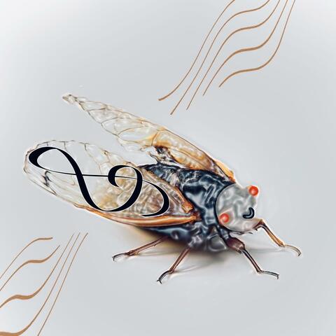 The Fly