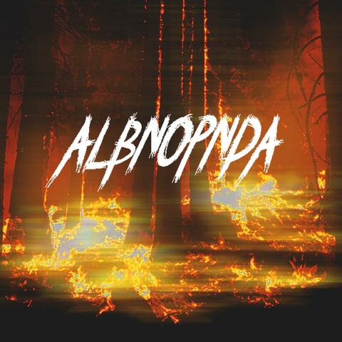 Forest Fire