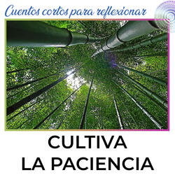 Cultiva La Paciencia. Cuento Corto Para Reflexionar
