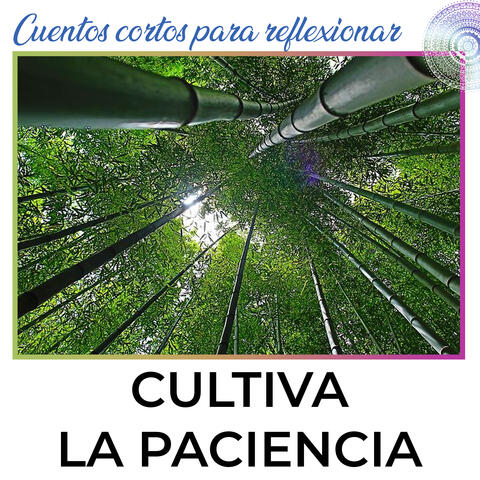 Cultiva La Paciencia. Cuento Corto Para Reflexionar