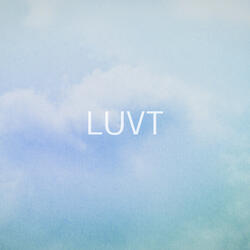 Evening Light Silhouettes