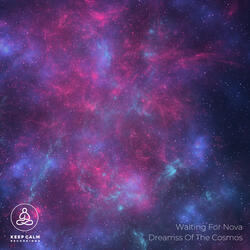 Dreams of the Cosmos