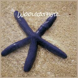 Disgustful Championship