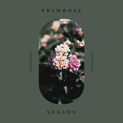 Primrose Season