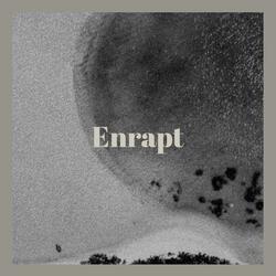 Disgustful Championship