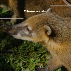 Collectedness Memento