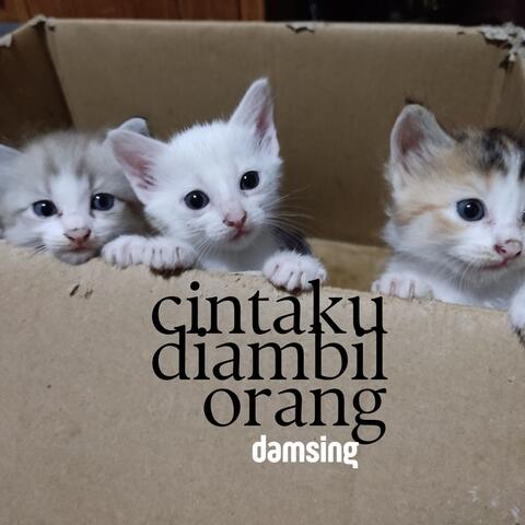 Cintaku Diambil Orang