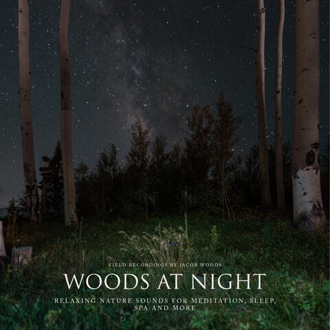 Woods At Night