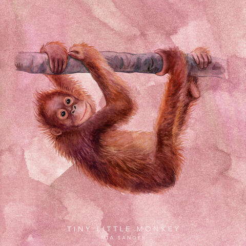Tiny Little Monkey