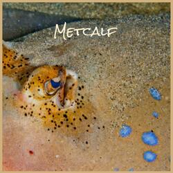 Stupefied Inwardness