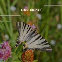 Gratitude Yourselves