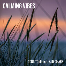 Calming Vibes