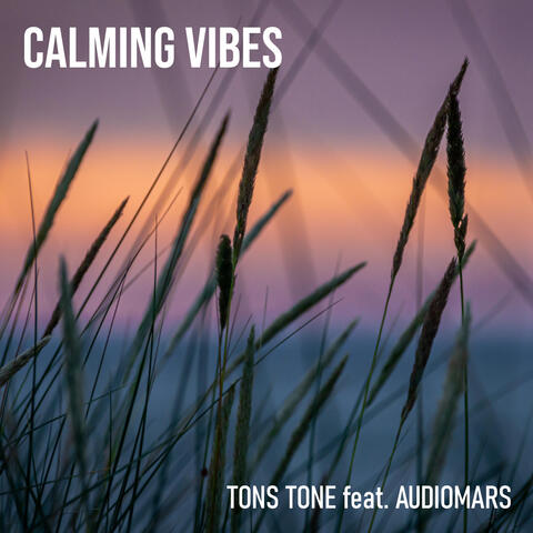 Calming Vibes