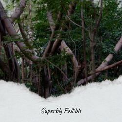 Collectedness Memento