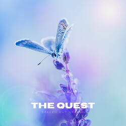The Quest