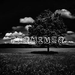 Terminer
