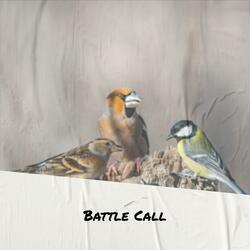 Instruction Sinkhole