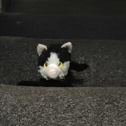 In a Play