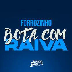 Forrozinho Bota com Raiva