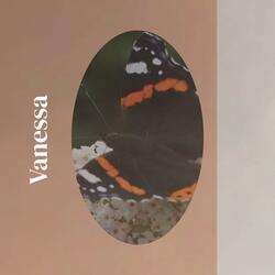 Vanessa