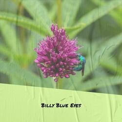 Billy Blue Eyes