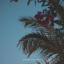Blue Nights