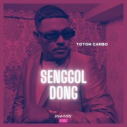 Senggol Dong