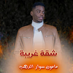 شقة غريبة