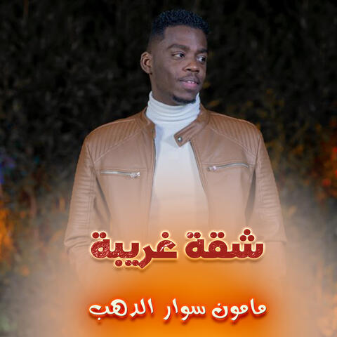شقة غريبة