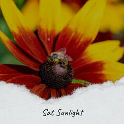 Sat Sunlight