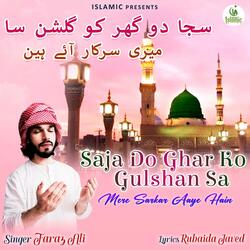 Mere Sarkar Aaye Hain