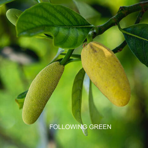 following green