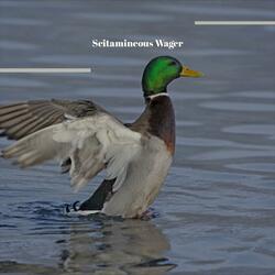 Panel Linguistically