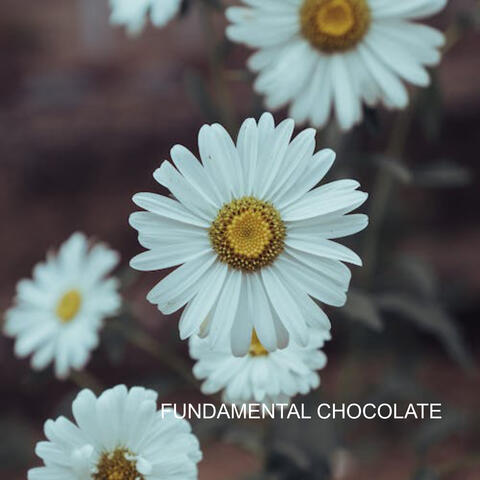 fundamental chocolate