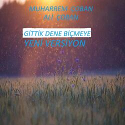 GİTTİK DENE BİÇMEYE