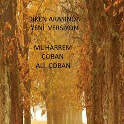 DİKEN ARASINDA